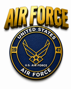 US Air Force-style Bust