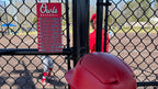 Custom Dugout Lineup Chart